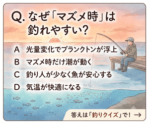 釣りクイズ：なぜ「マズメ時」は釣れやすい？ 答えは「釣りクイズ」で